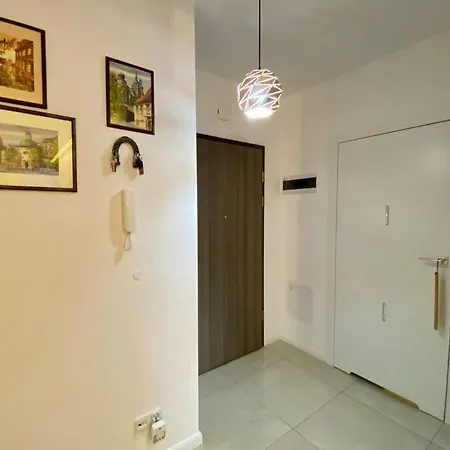 White And Bright With Riverside View And Parking 公寓 克拉科夫